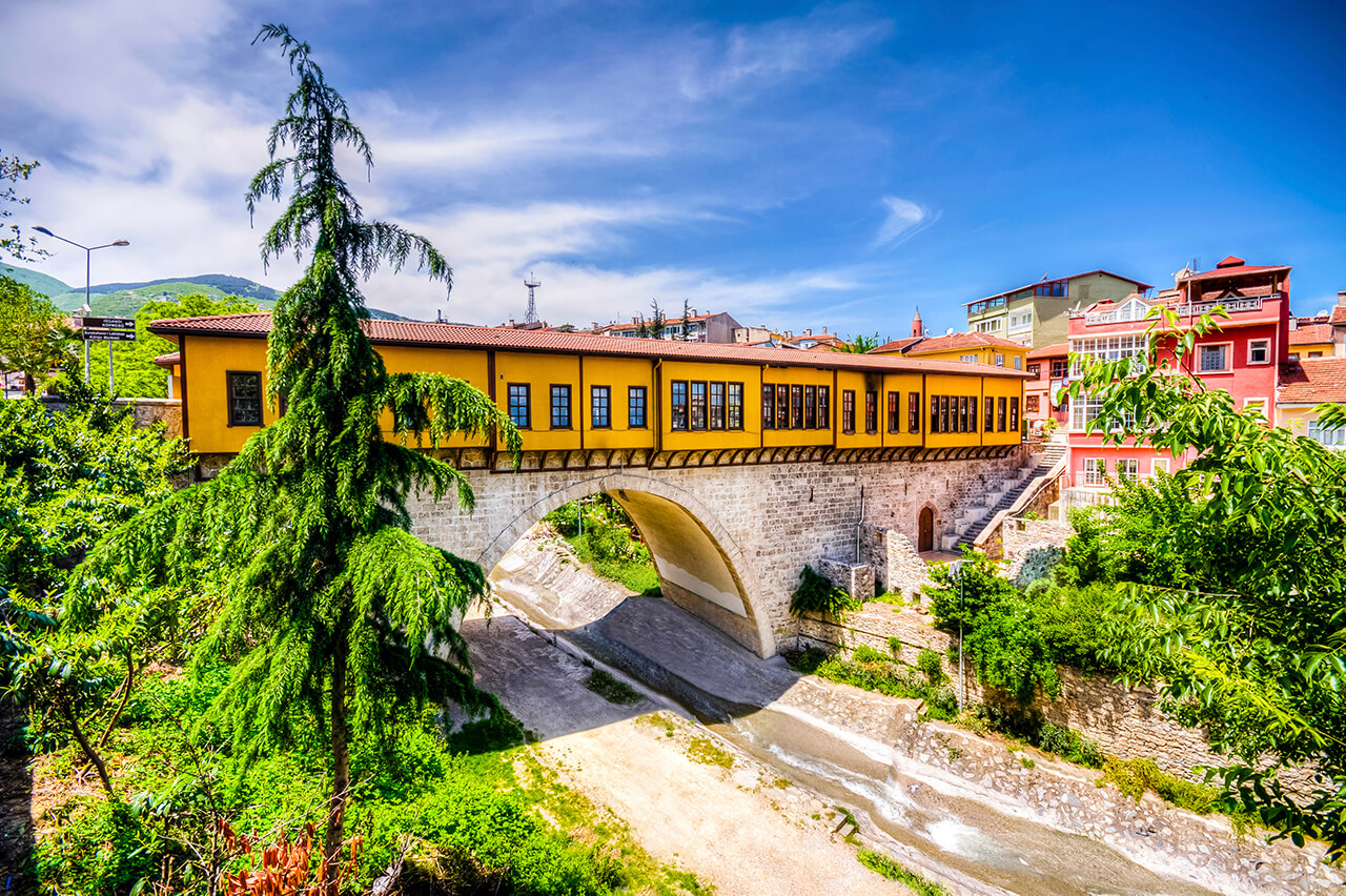Bursa